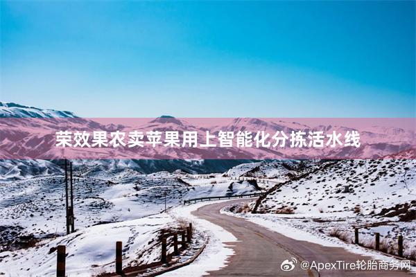 荣效果农卖苹果用上智能化分拣活水线