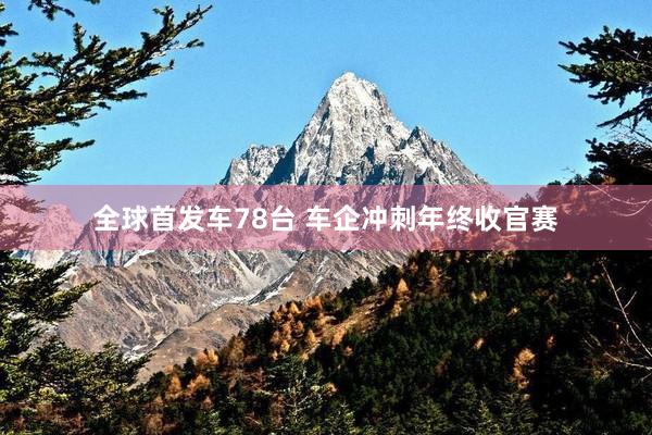 全球首发车78台 车企冲刺年终收官赛