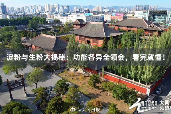 淀粉与生粉大揭秘:功能各异全领会,看完就懂!