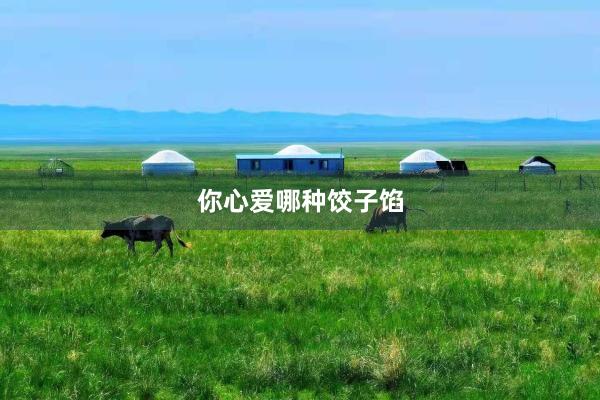 你心爱哪种饺子馅