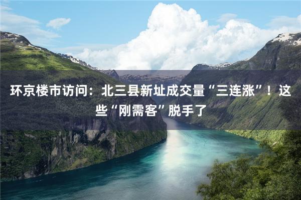 环京楼市访问：北三县新址成交量“三连涨”！这些“刚需客”脱手了