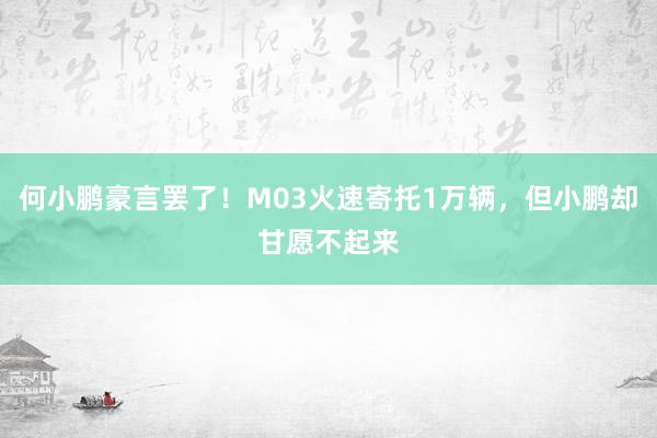 何小鹏豪言罢了！M03火速寄托1万辆，但小鹏却甘愿不起来
