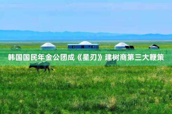 韩国国民年金公团成《星刃》建树商第三大鞭策