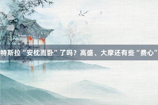特斯拉“安枕而卧”了吗？高盛、大摩还有些“费心”